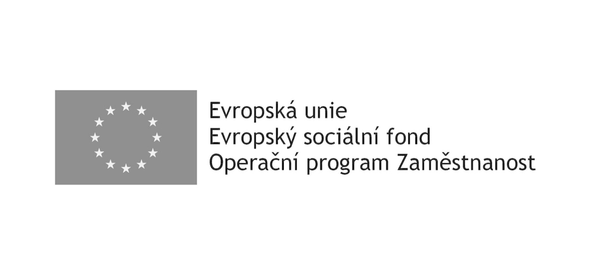 Realizujeme projekt zaměřený na vzdělávání a rozvoj našich zaměstnanců, který je spolufinancovaný z prostředků EU. Projekt č.: CZ.03.1.52/0.0/0.0/16_043/0005532